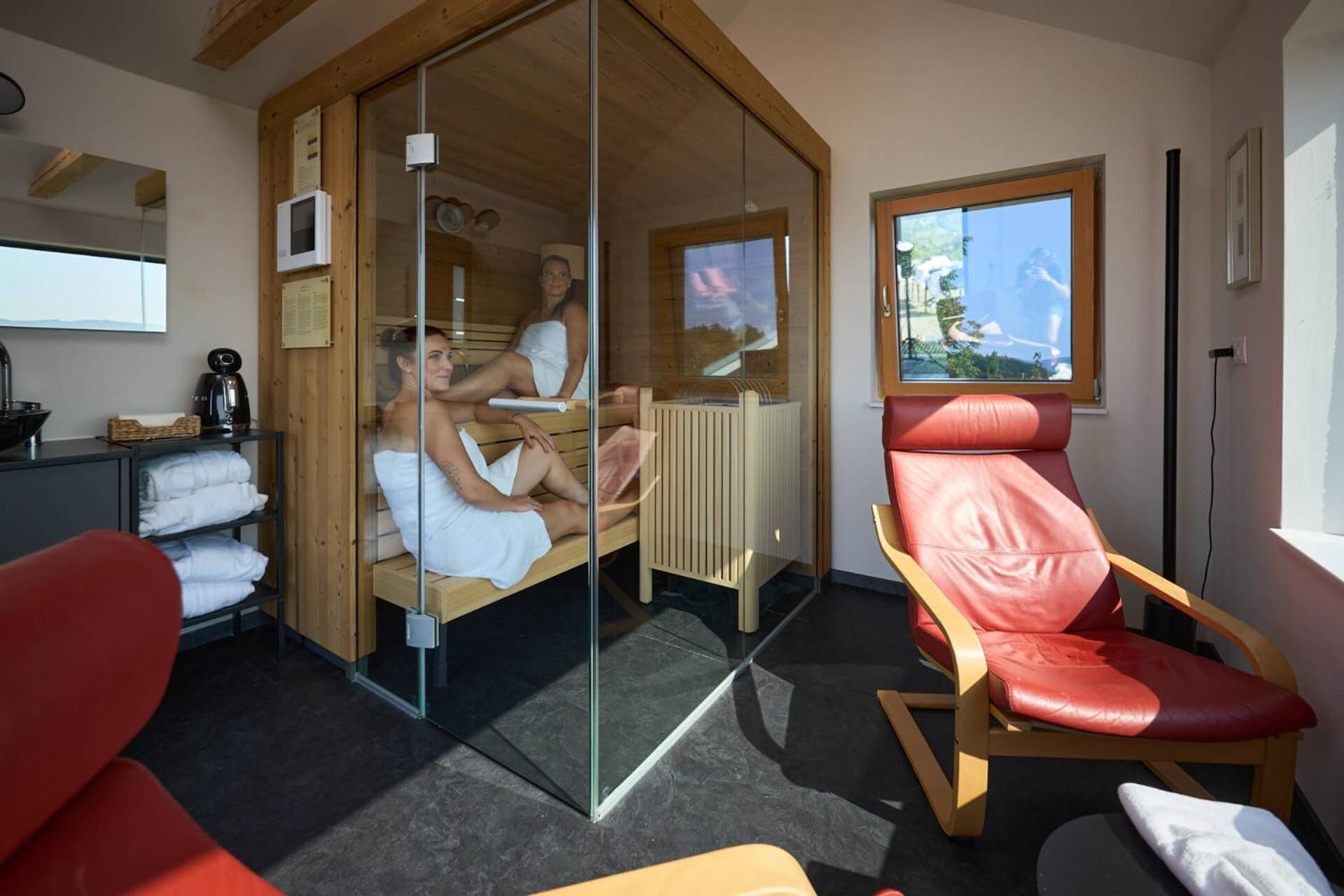 Chalet mit 1 Schlafzimmer und Terrasse