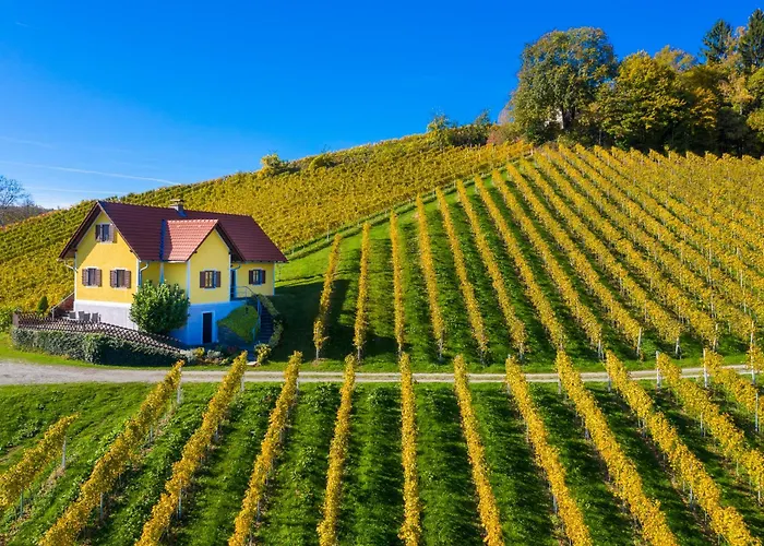 Ferienhaus Weingut Bauer Gamlitz